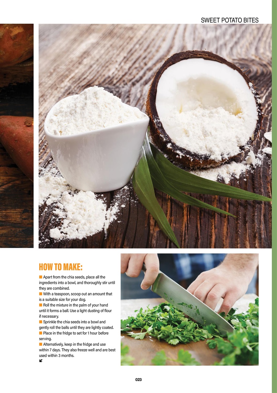 Edition Dog Preview Pages