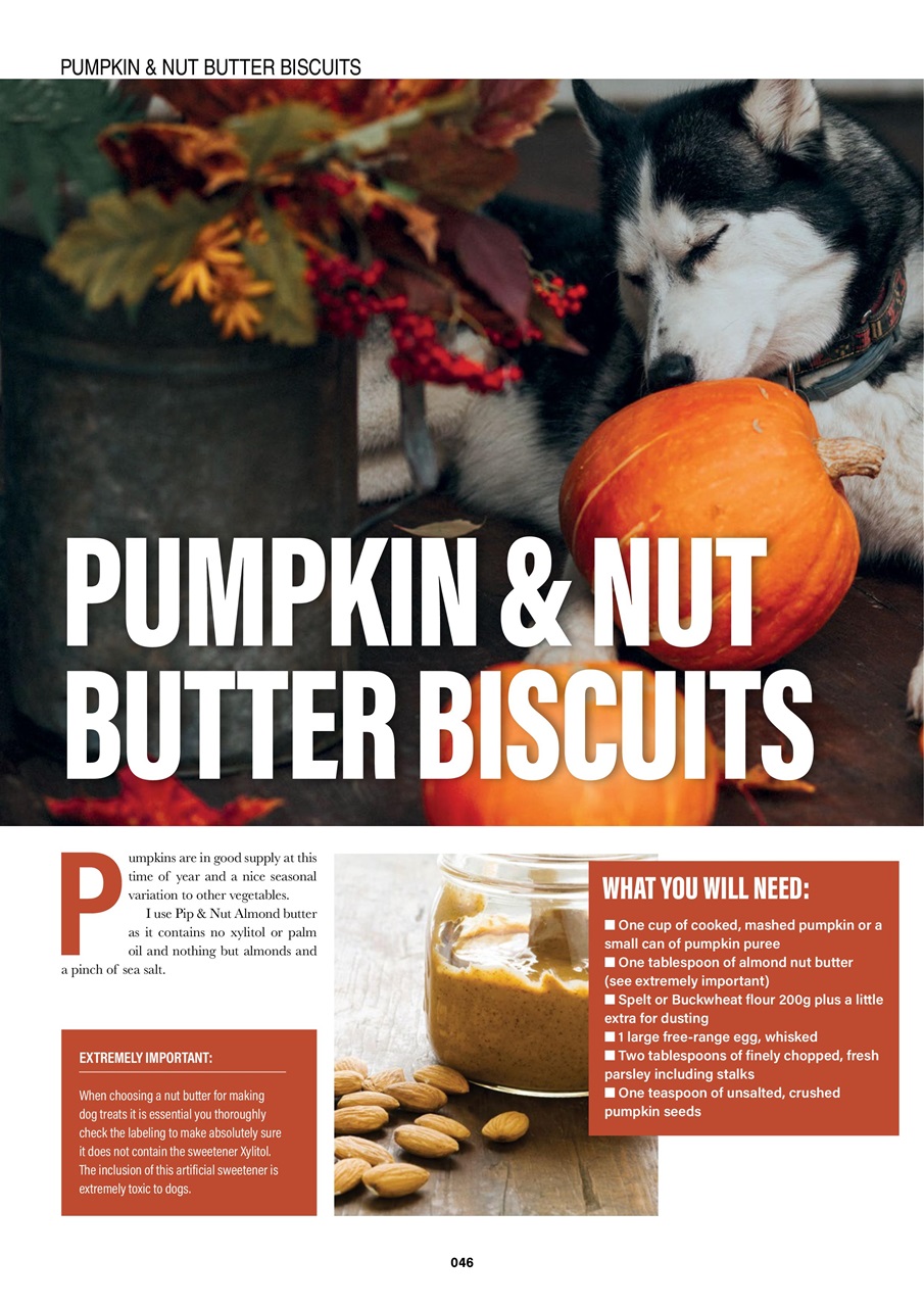 Edition Dog Preview Pages