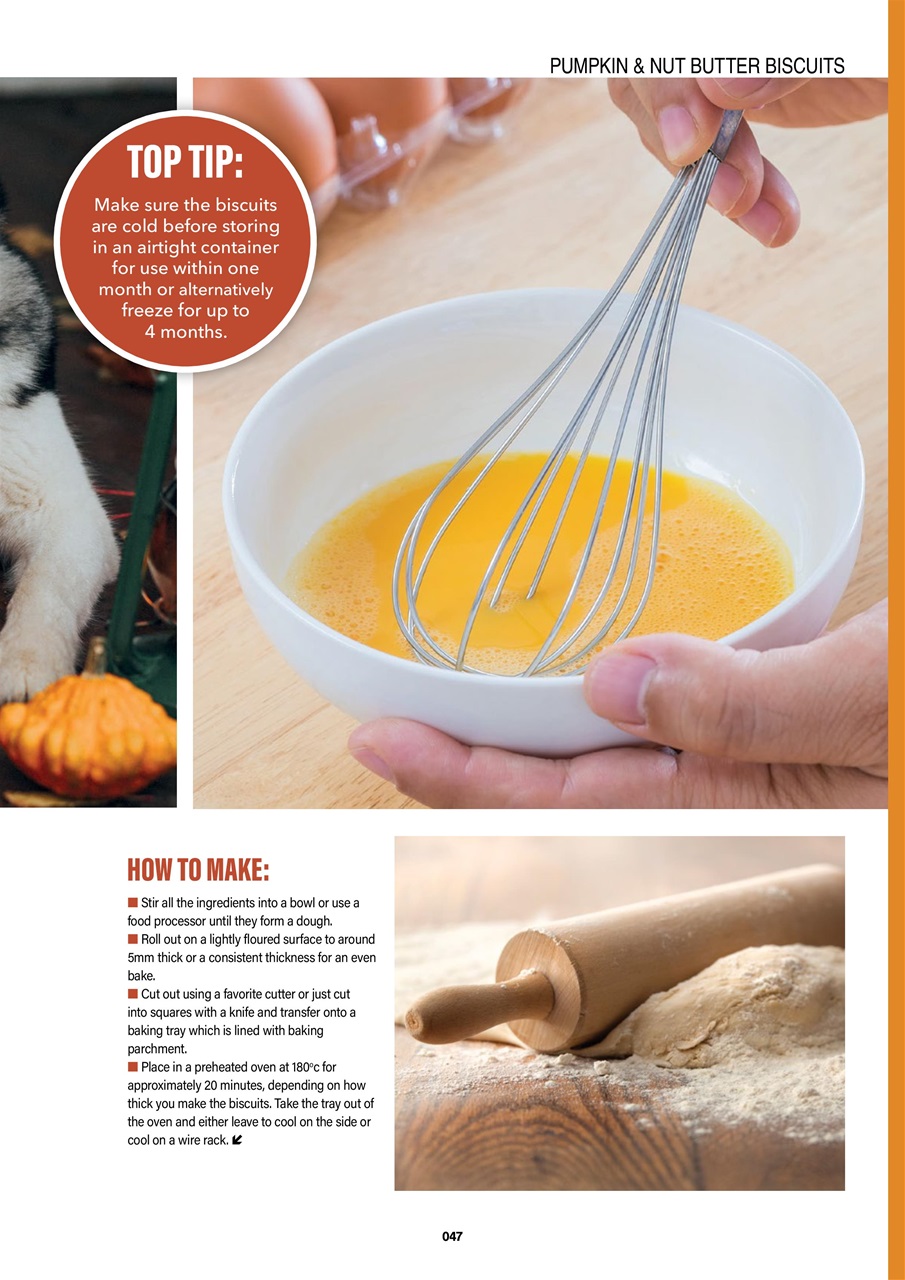 Edition Dog Preview Pages