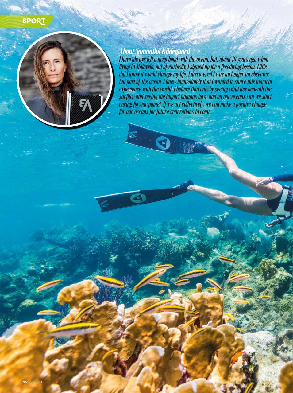 CACIQUE Preview Pages