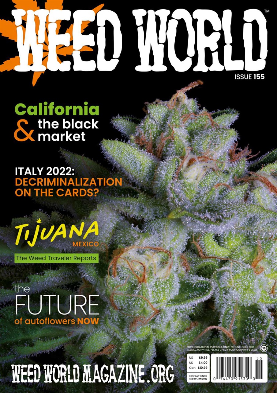 Weed World Preview Pages