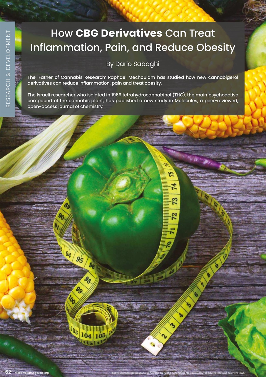 Weed World Preview Pages