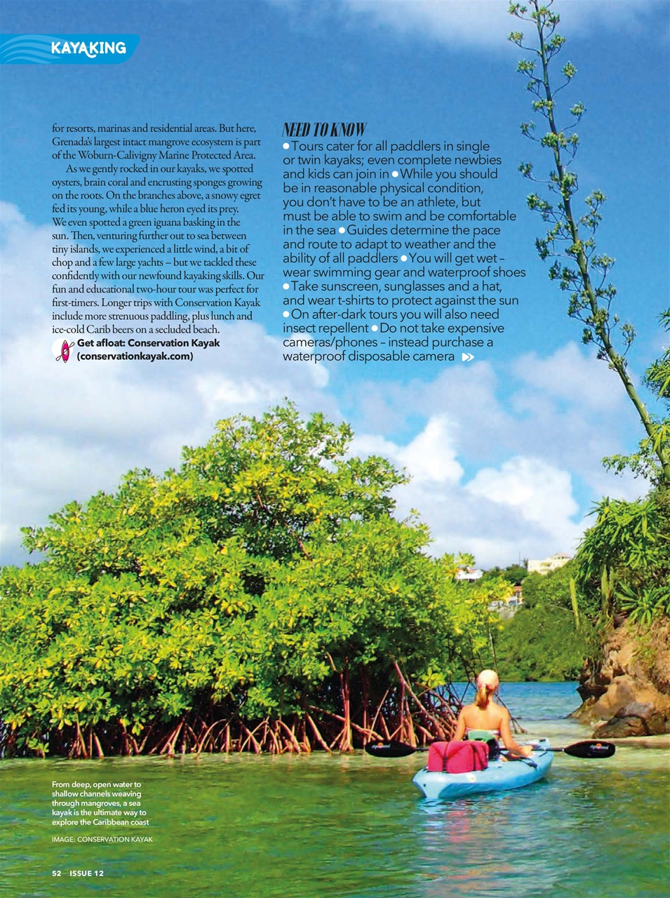 CACIQUE Preview Pages