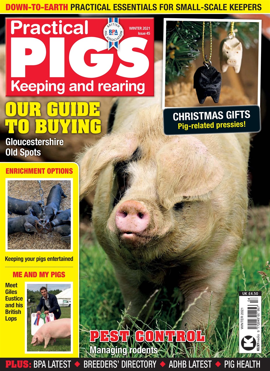 Practical Pigs Preview Pages