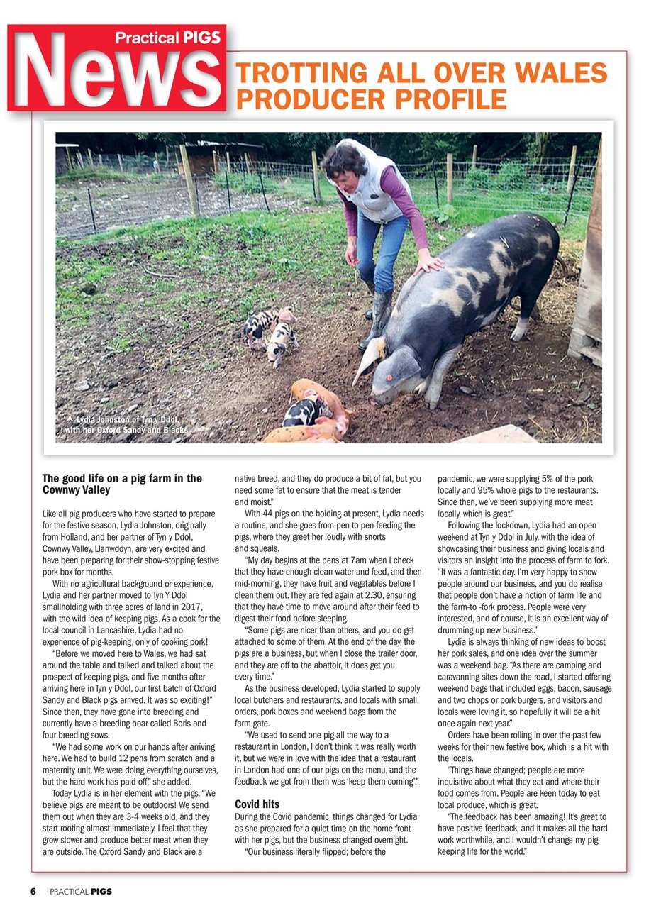Practical Pigs Preview Pages