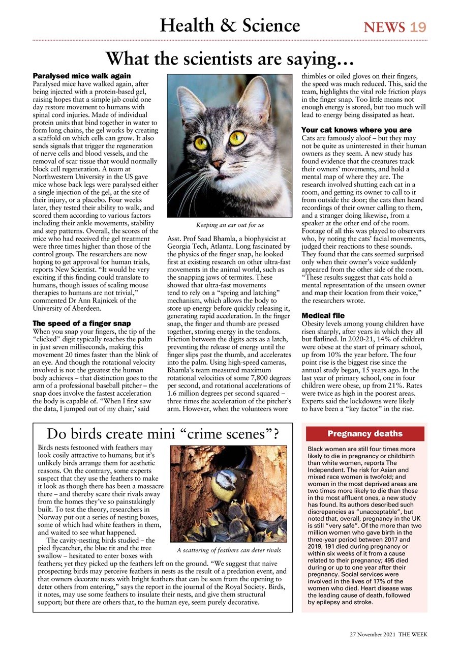 The Week Preview Pages