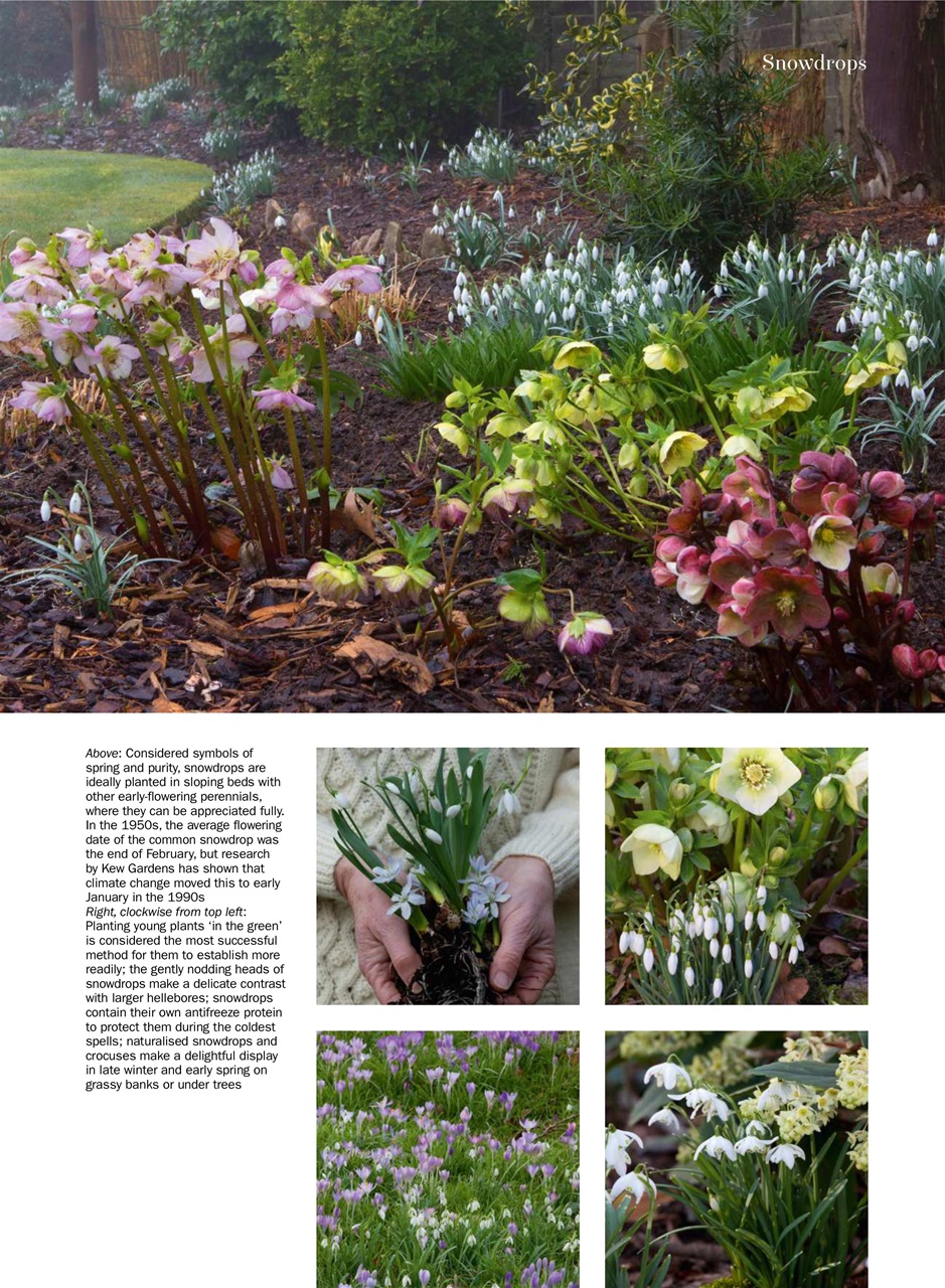 Period Living Magazine Preview Pages