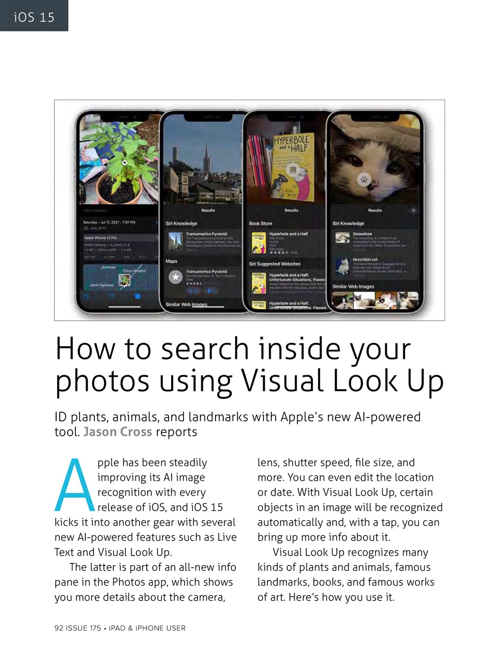 iPad and iPhone User Preview Pages