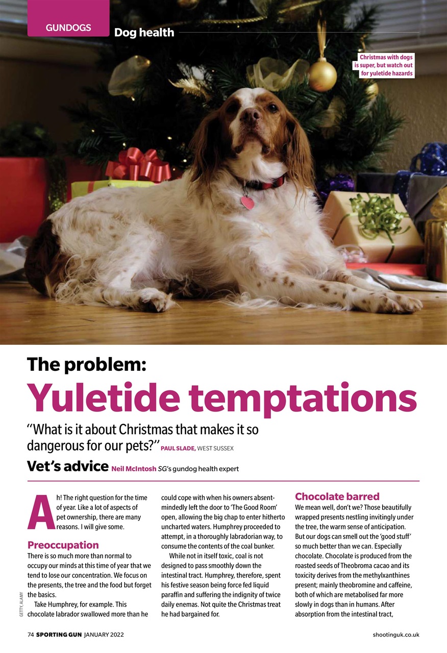 Sporting Gun Preview Pages