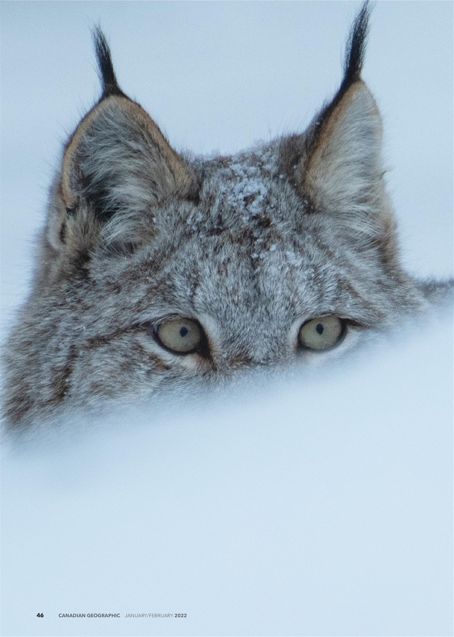Canadian Geographic Preview Pages