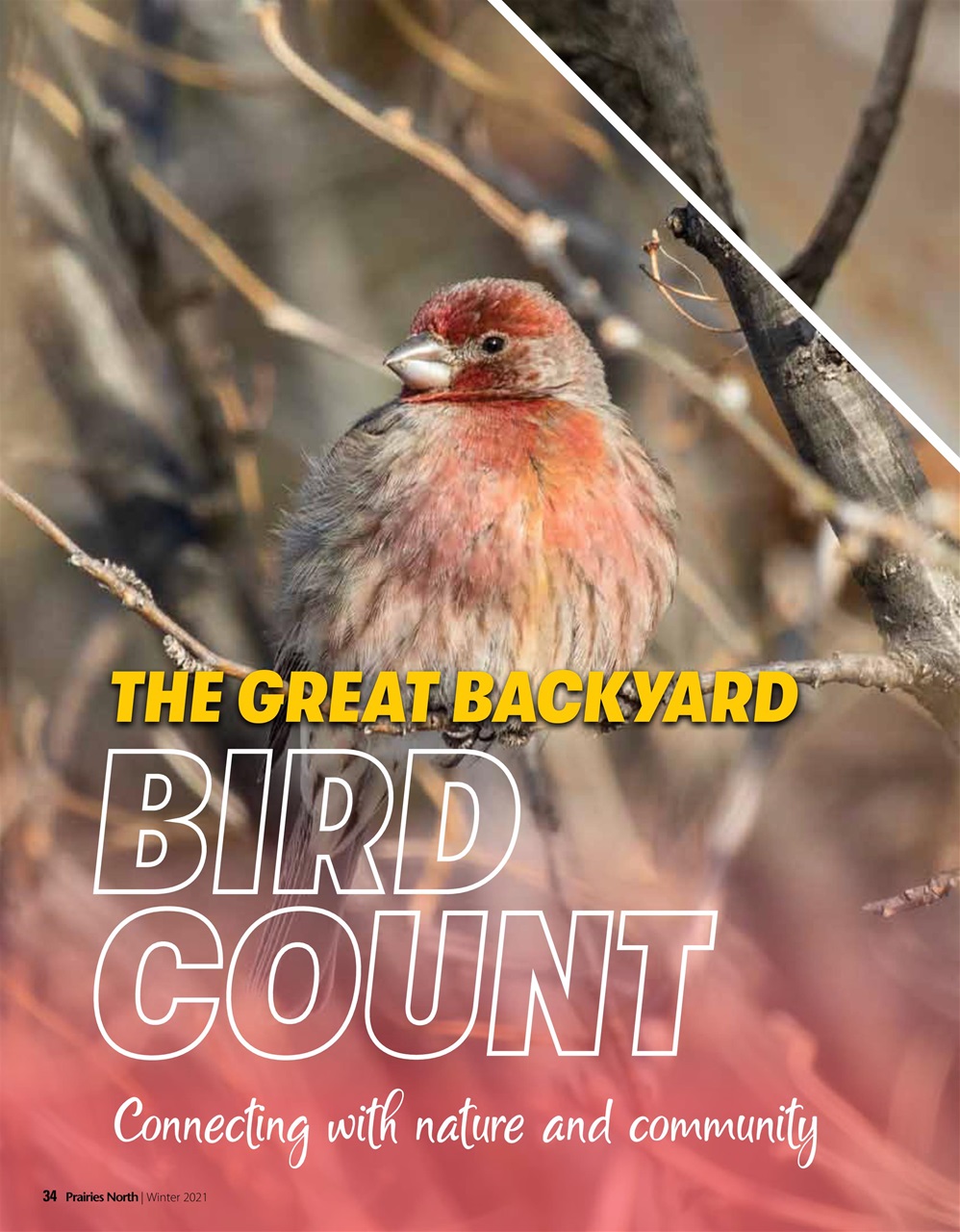 Prairies North Magazine Preview Pages