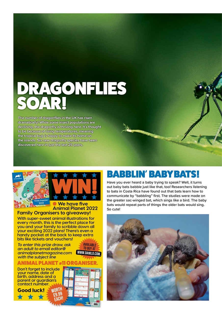 Animal Planet Kids Preview Pages