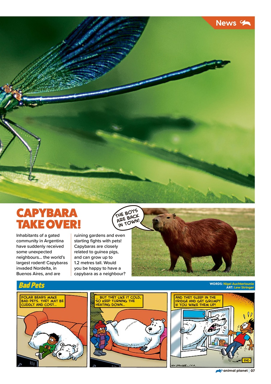 Animal Planet Kids Preview Pages