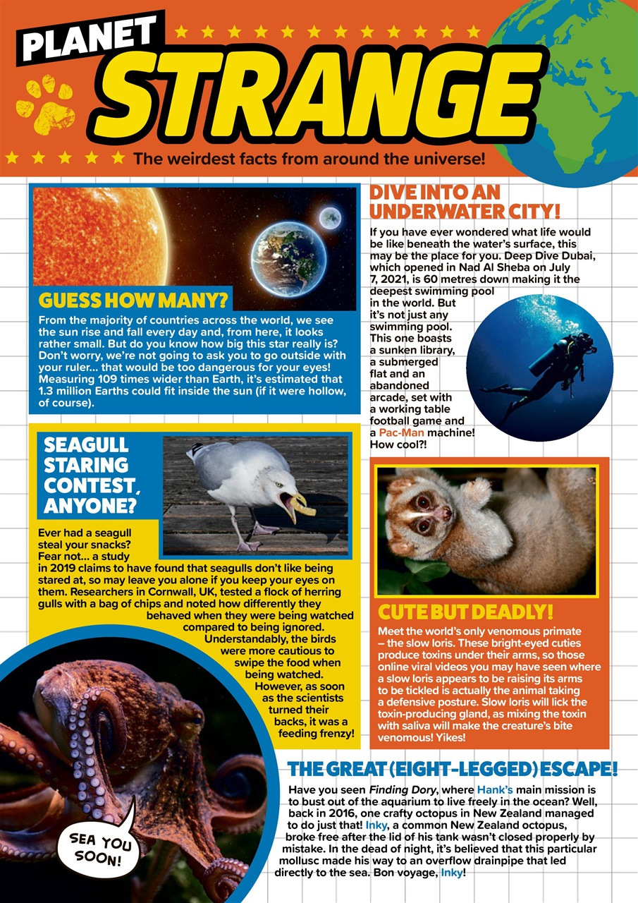 Animal Planet Kids Preview Pages