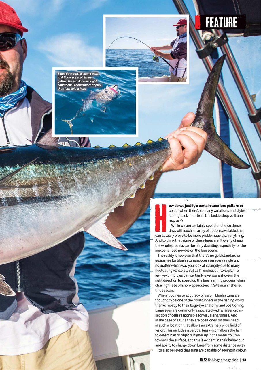 Fishing SA Preview Pages