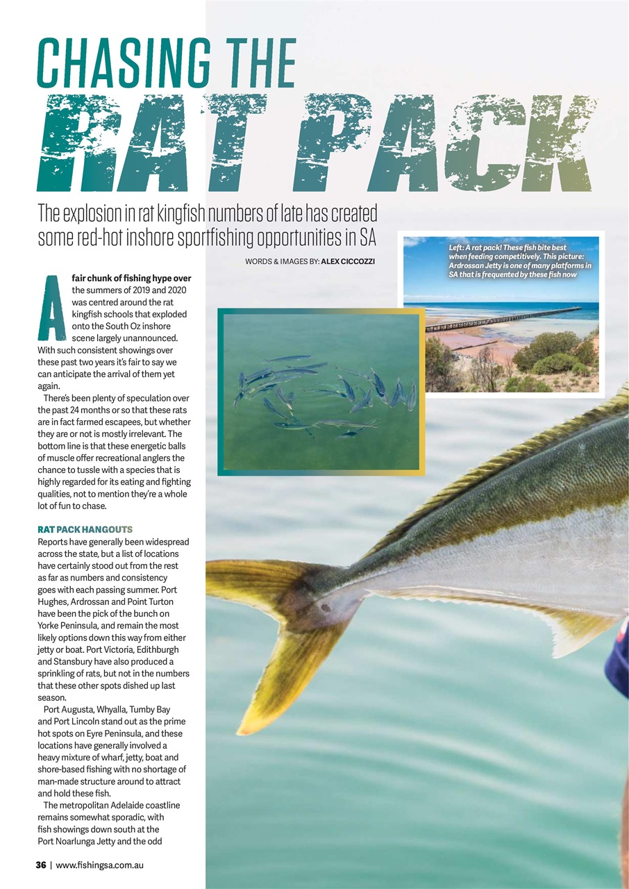 Fishing SA Preview Pages