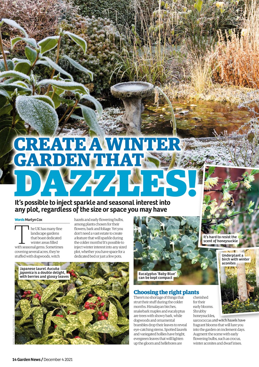 Garden News Preview Pages