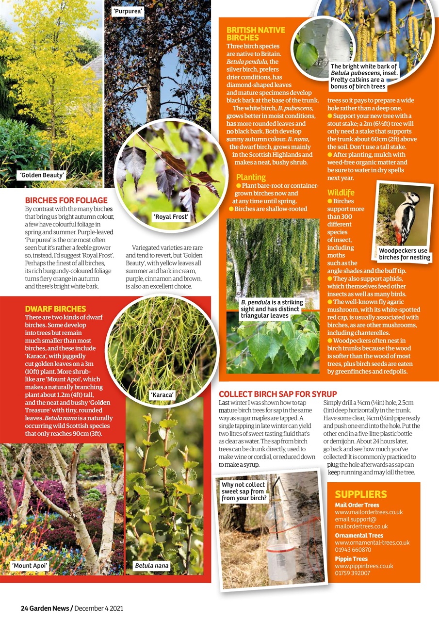Garden News Preview Pages