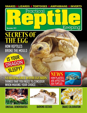 Practical Reptile Keeping issue November 2021