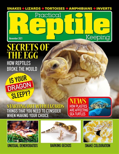 Practical Reptile Keeping issue 