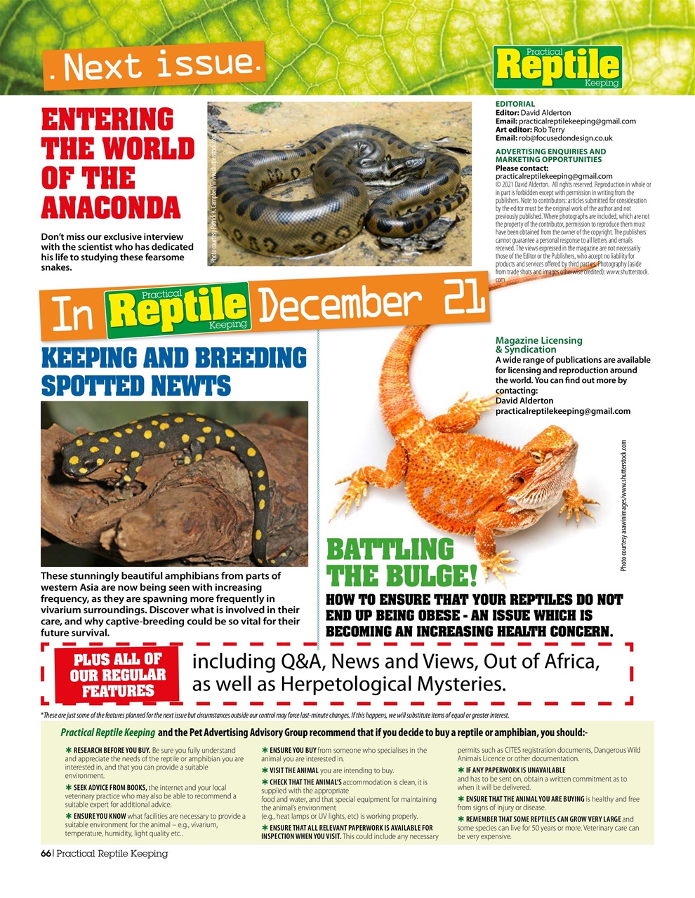 Practical Reptile Keeping Preview Pages