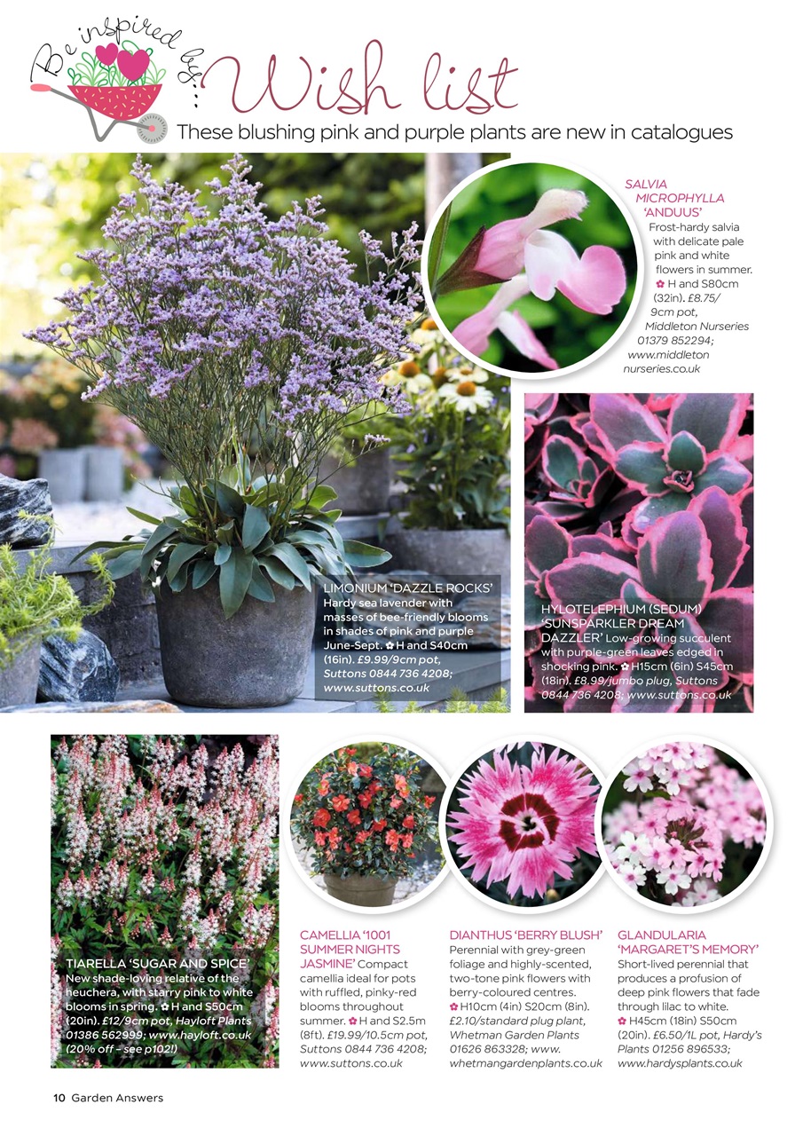 Garden Answers Preview Pages