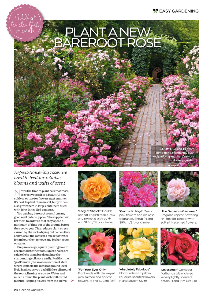 Garden Answers Preview Pages