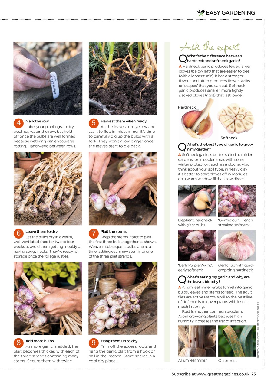 Garden Answers Preview Pages