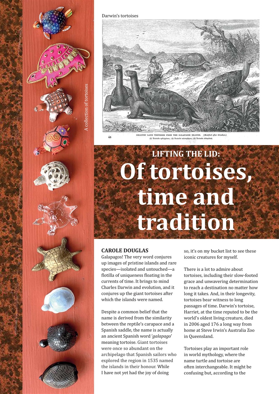 Embellish Preview Pages