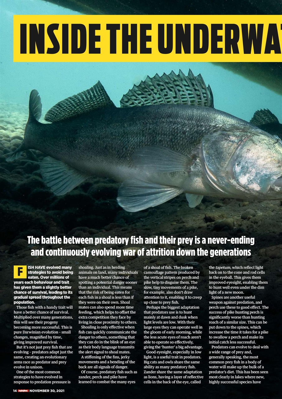 Angling Times Preview Pages