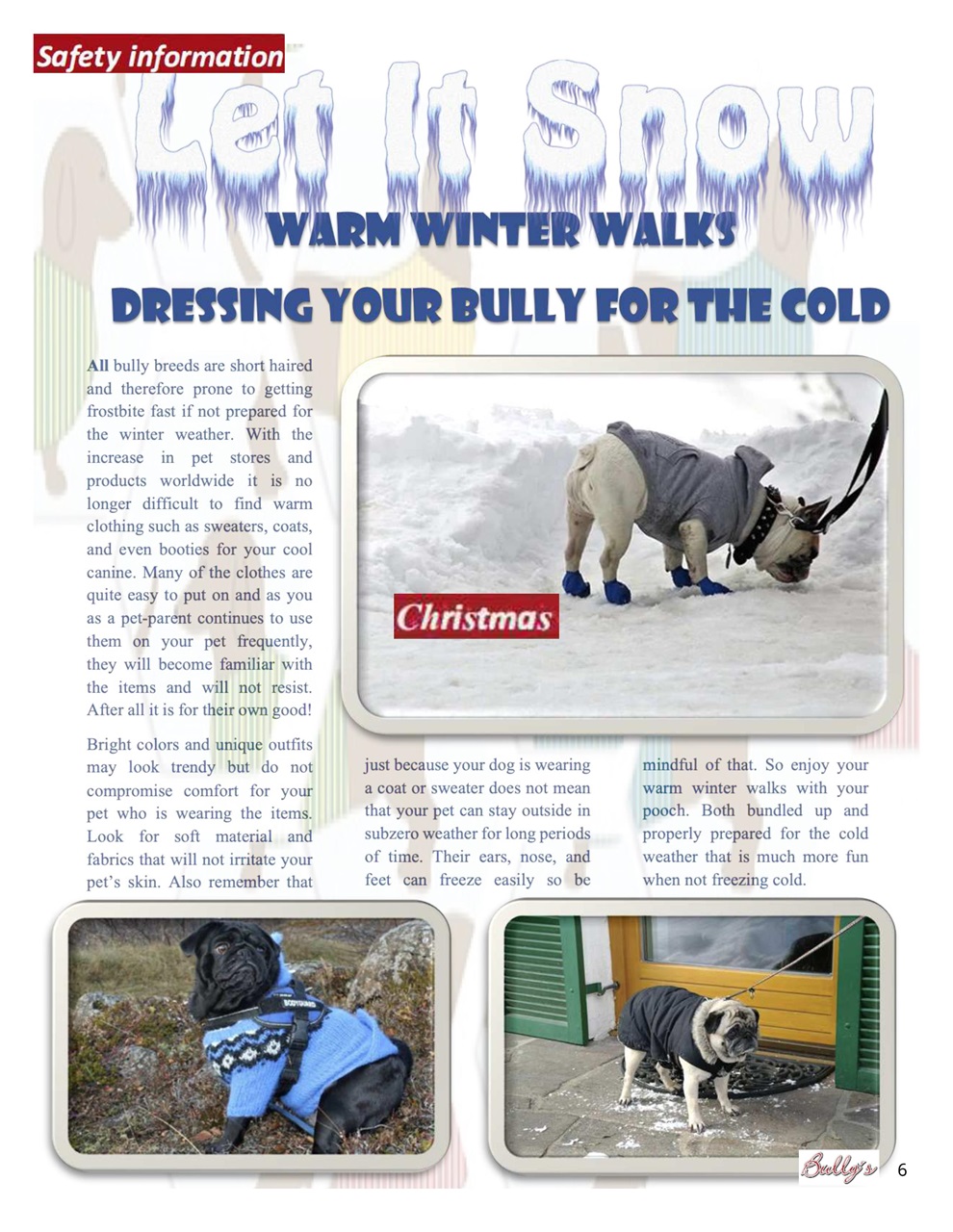 Bully’s - The Bulldog Magazine Preview Pages