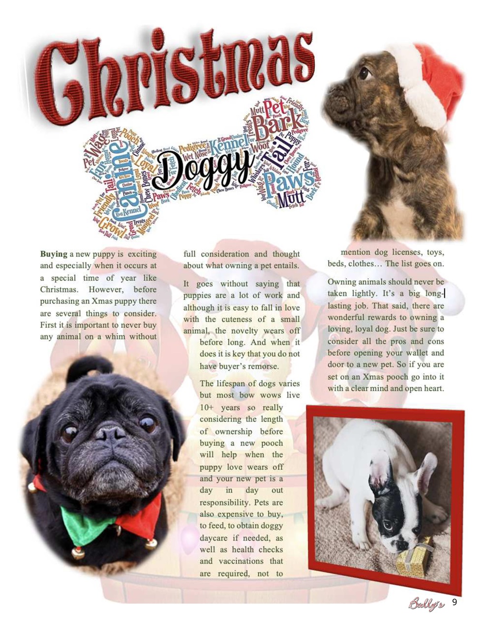 Bully’s - The Bulldog Magazine Preview Pages