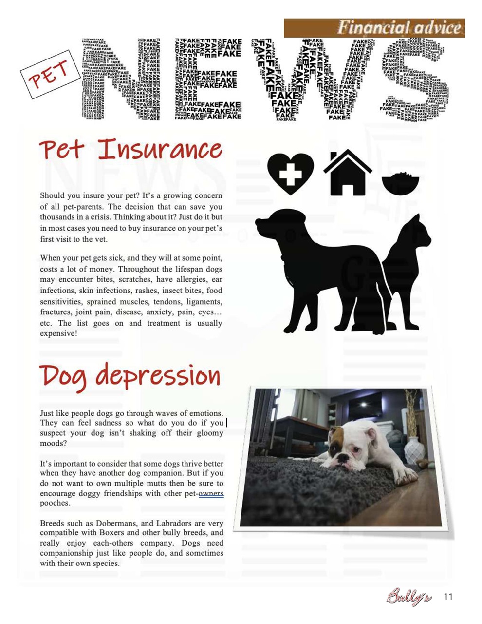 Bully’s - The Bulldog Magazine Preview Pages