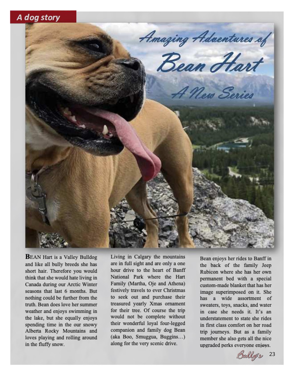 Bully’s - The Bulldog Magazine Preview Pages