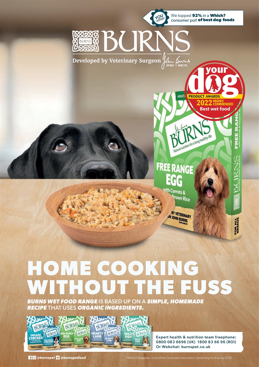 Your Dog Preview Pages