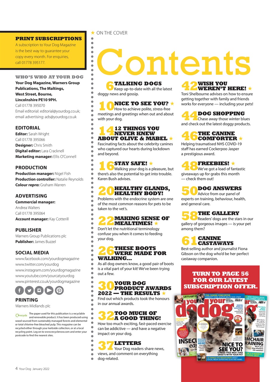 Your Dog Preview Pages