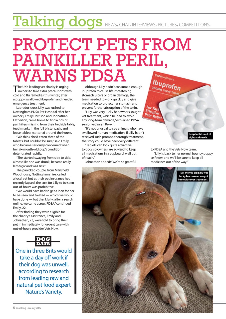 Your Dog Preview Pages