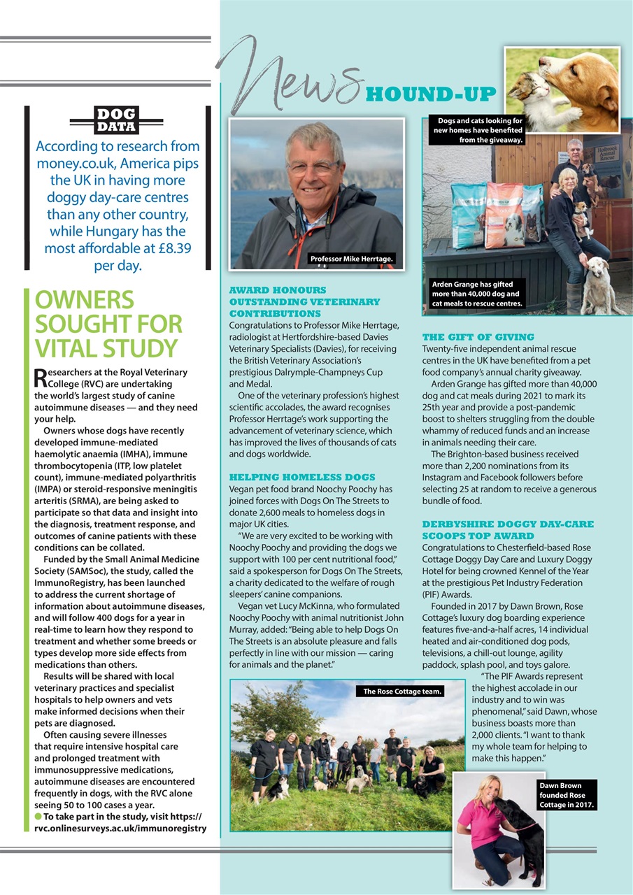 Your Dog Preview Pages