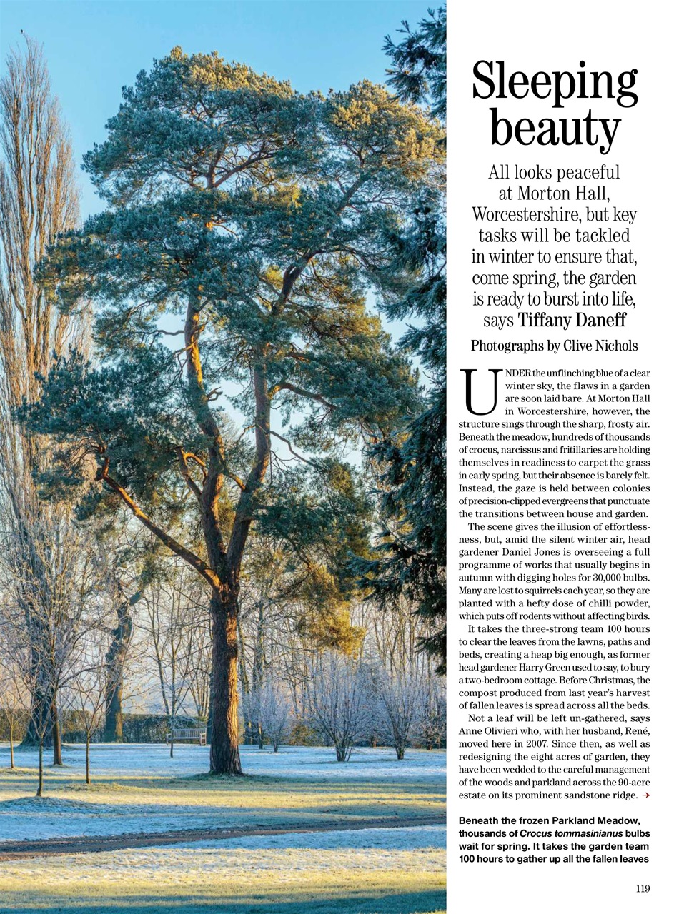 Country Life Preview Pages