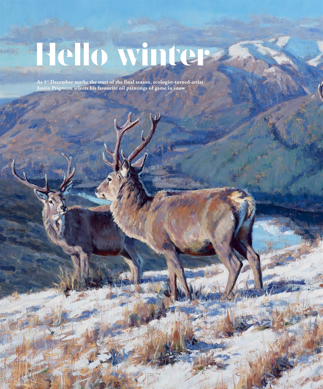 Fieldsports Journal Preview Pages