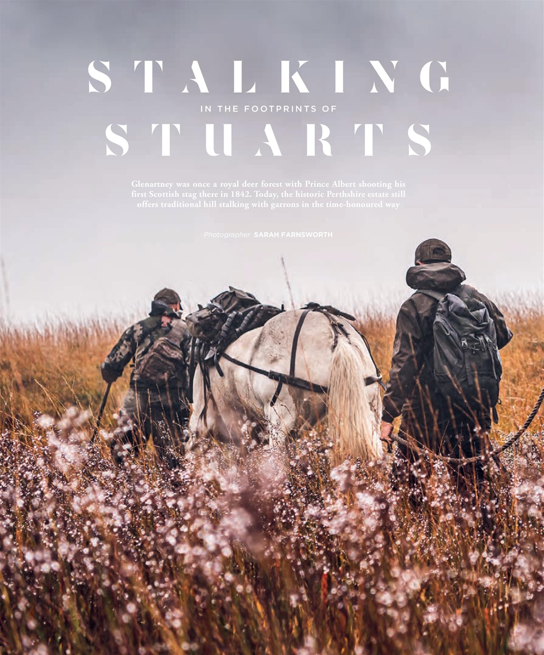 Fieldsports Journal Preview Pages