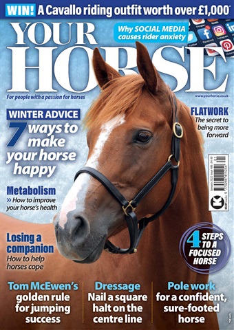 Your Horse issue Jan-22