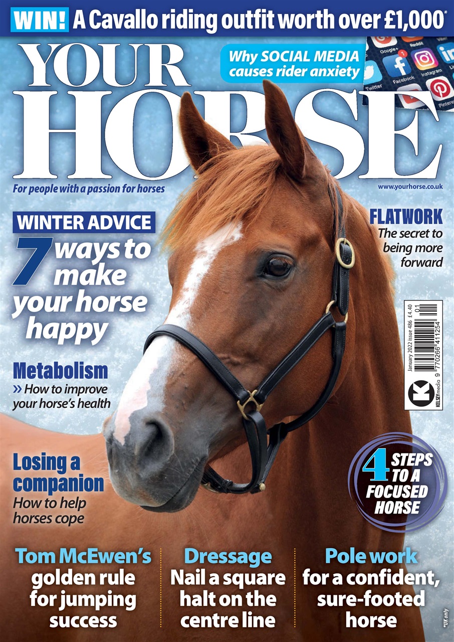 Your Horse Preview Pages