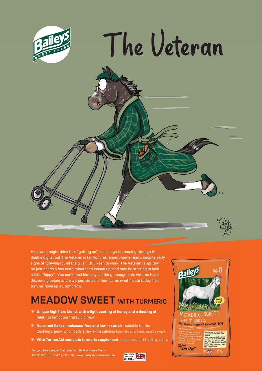 Your Horse Preview Pages