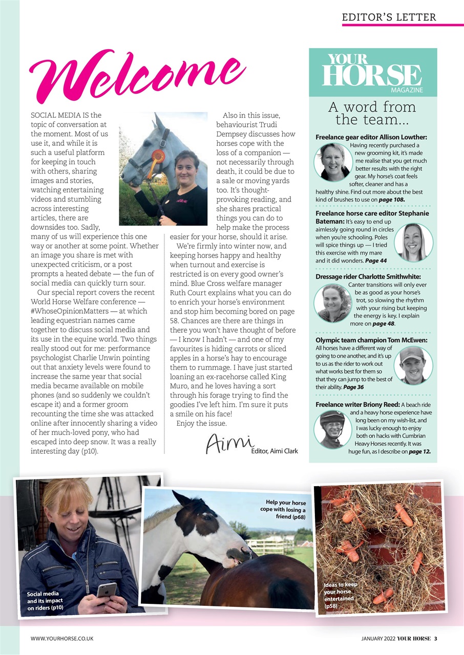 Your Horse Preview Pages