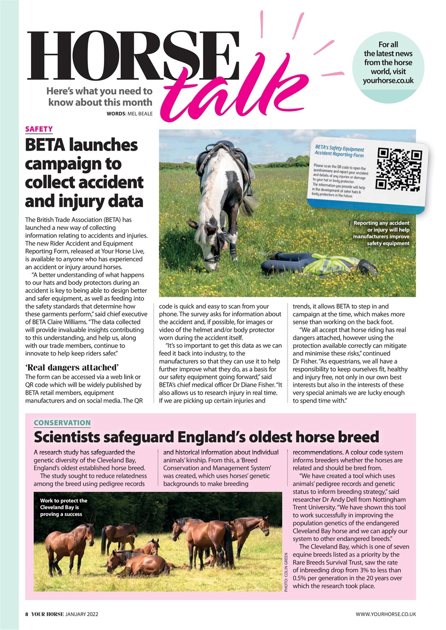 Your Horse Preview Pages