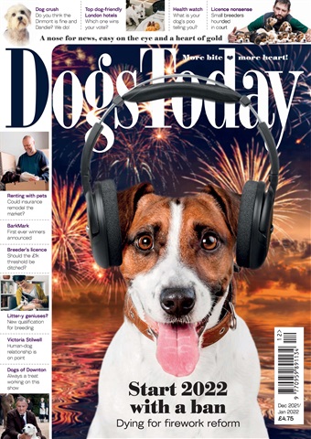 Dogs Today Magazine issue December 2021/January 2022