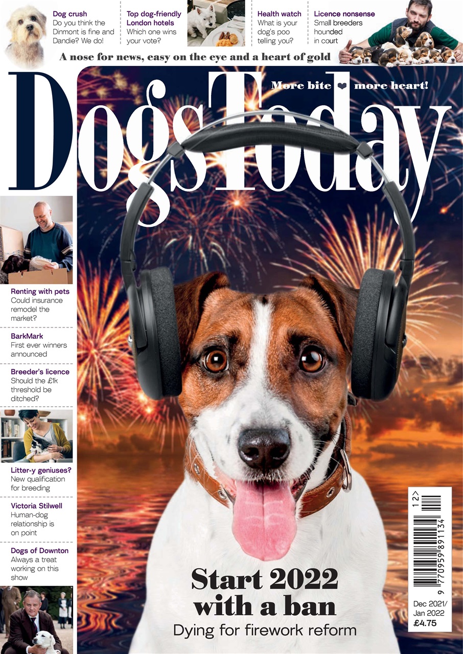 Dogs Today Magazine Preview Pages