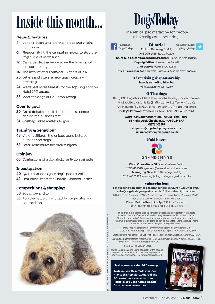 Dogs Today Magazine Preview Pages