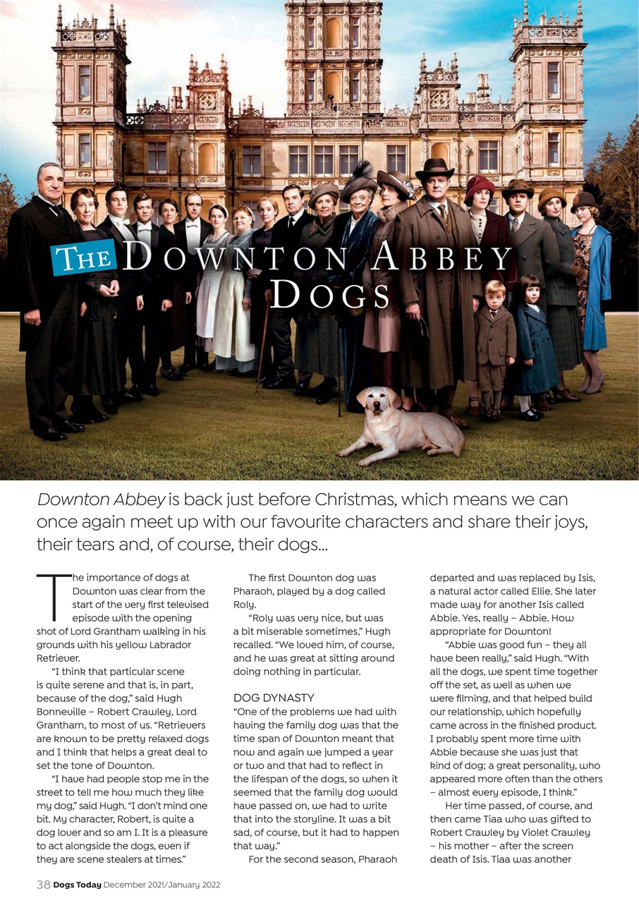Dogs Today Magazine Preview Pages